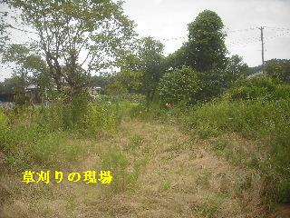 f0031037_21472481.jpg