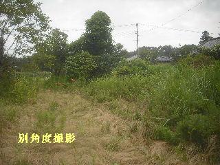 f0031037_21473236.jpg