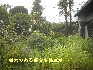 f0031037_21474197.jpg