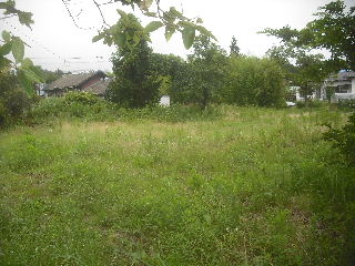 f0031037_21475515.jpg
