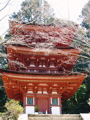 e0022839_0392364.jpg