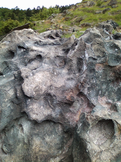 d0155148_20491242.jpg