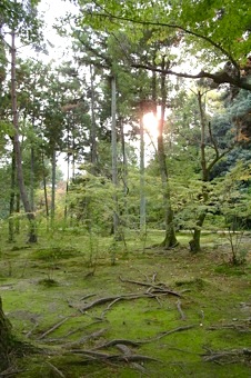 唐招提寺　その３■天平香_b0025850_0182247.jpg