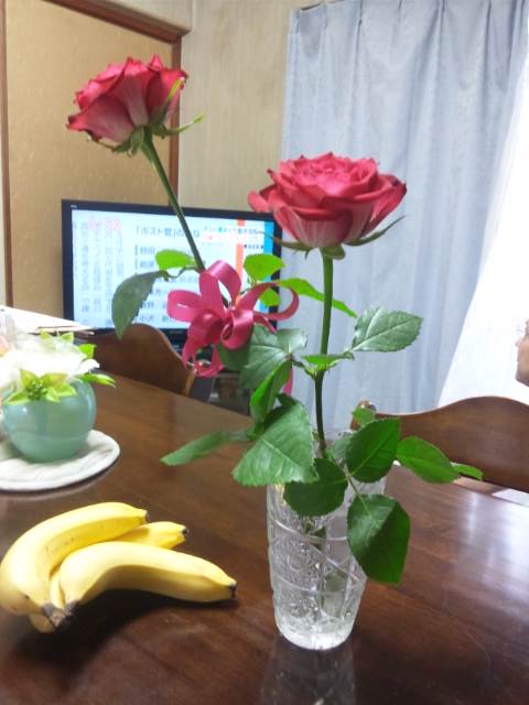 a0027555_11455837.jpg