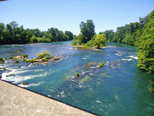 「O」の前でのびのび。　-Alton Baker Park Off-Leash Dog Area_d0172957_13341898.jpg