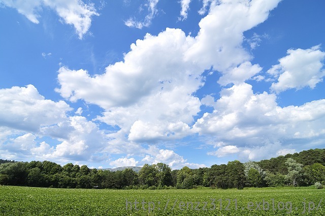 「再現像　夏の青空・・・」7月28日今日のショット_d0019260_1144739.jpg