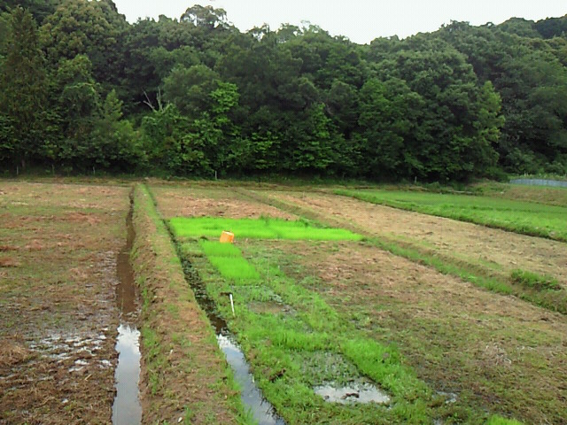 b0139862_8582727.jpg