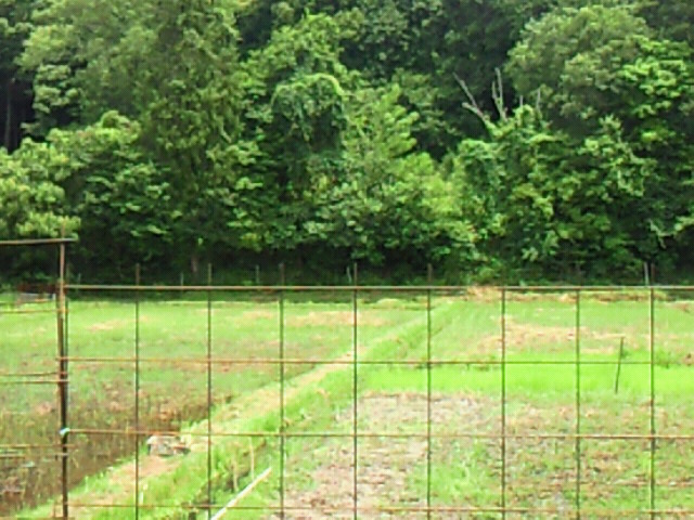 b0139862_939452.jpg