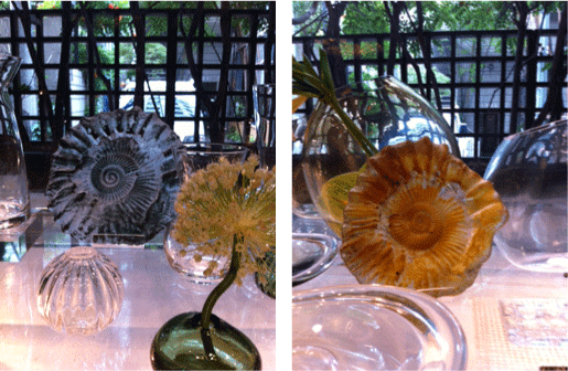 Amanda Brisbane Glass@cassina ixc青山本店_c0166866_17102980.gif