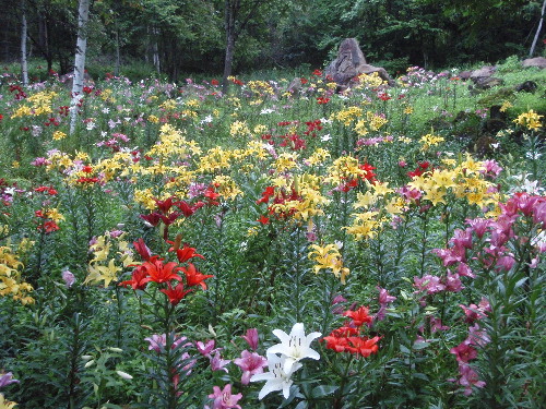 f0208666_1532413.jpg