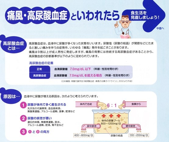 11年7月28日・痛風治療_c0129671_1838345.jpg