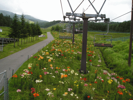 c0155576_2213089.gif