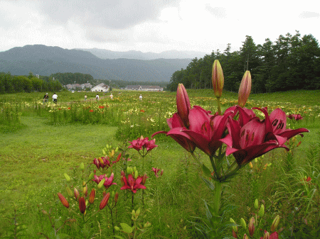 c0155576_22133550.gif
