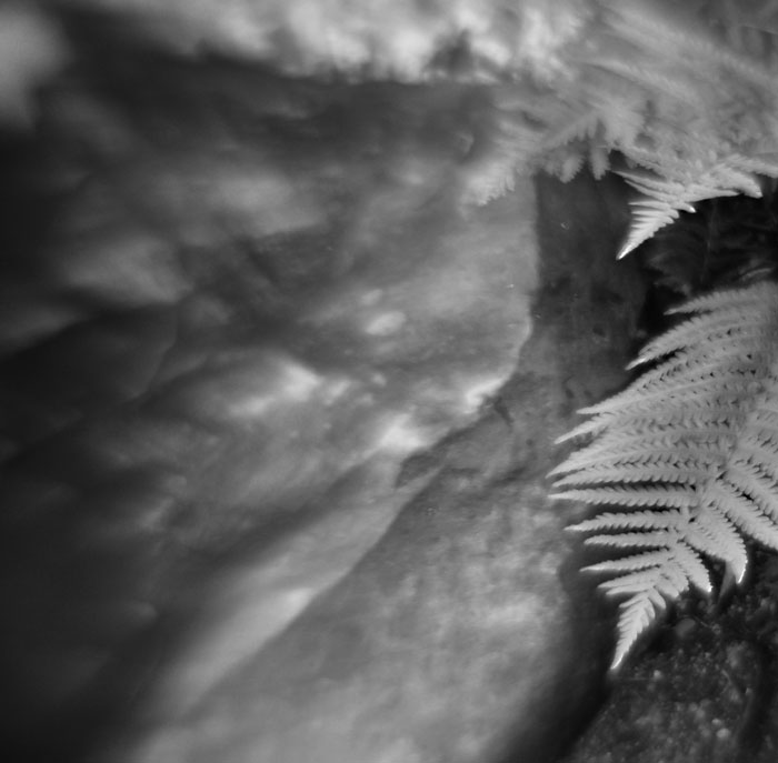 c0229384_166134.jpg