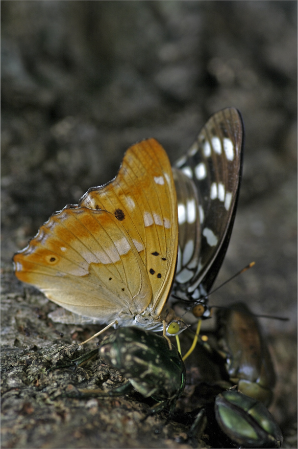 d0209988_18564847.jpg