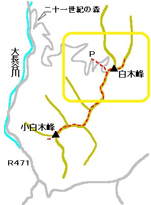 富山散歩～県東部167～「白木峰」山行記～心臓バクバクですよ_b0155692_21235958.jpg