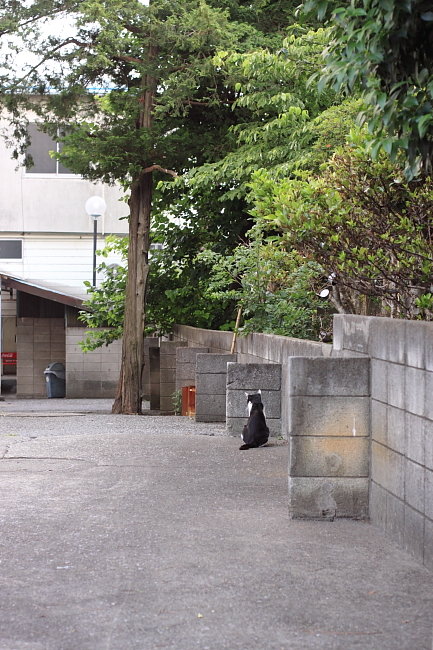 c0044199_2321864.jpg