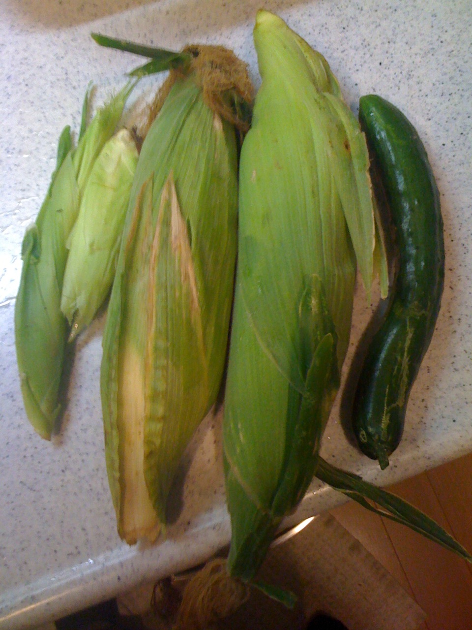c0064706_13504150.jpg