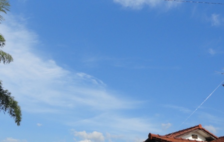 今朝の夏空と夏の花が元気に咲いています_f0231709_7433312.jpg