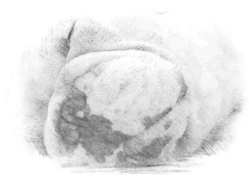a0158613_23183158.jpg