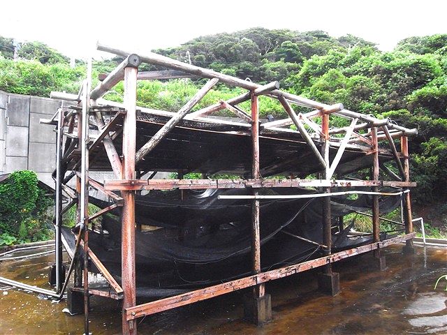 熊本~平戸 ~後篇~_c0116714_1351779.jpg