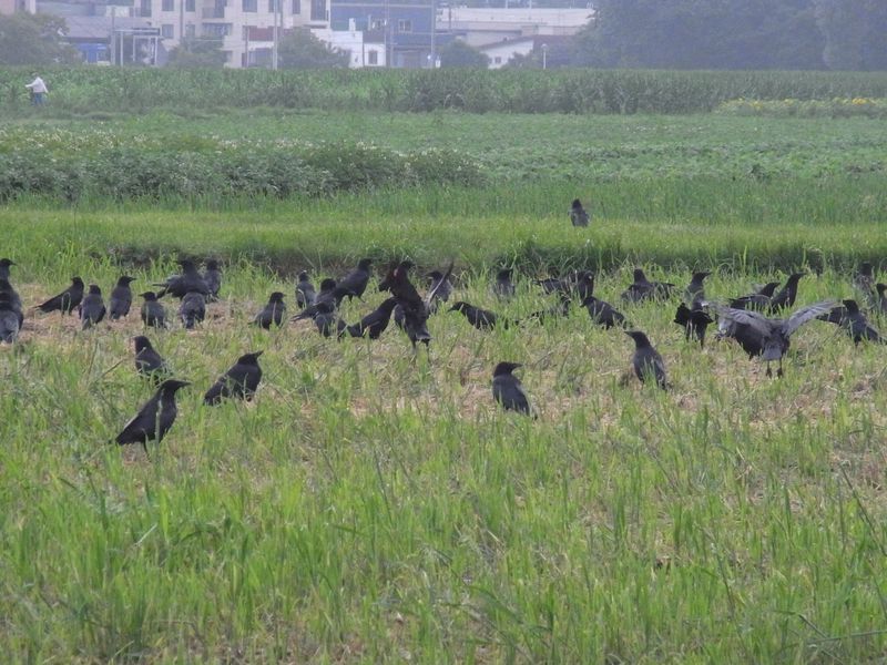 暑い夏の一日を終えて_c0025115_1932099.jpg