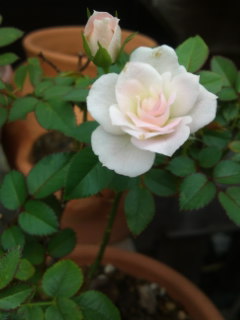 c0152816_22344626.jpg