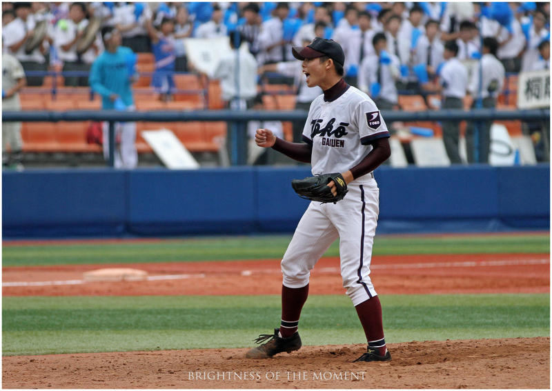 全国高等学校野球選手権大会 (神奈川県勢)