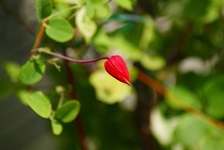 f0170524_1834222.jpg