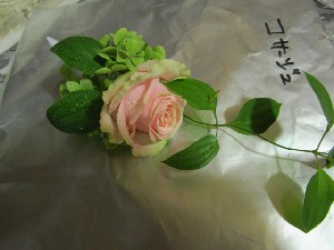 ご機嫌斜めな金曜日_c0102228_20304855.jpg