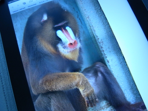 紳士に送る、iPad/iPhoneの注意点_d0085634_16354473.jpg