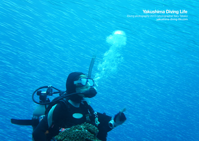 嵐だ~、でも海は最高!!_b0186442_2241598.jpg