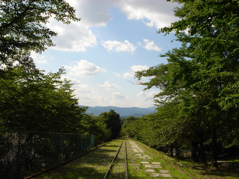 東京からお得に1day京都。_e0233845_20211451.jpg