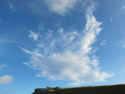 7月29日 一期一会_b0158746_16112655.jpg