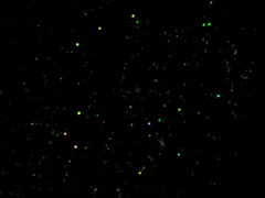 e0005548_085945.gif