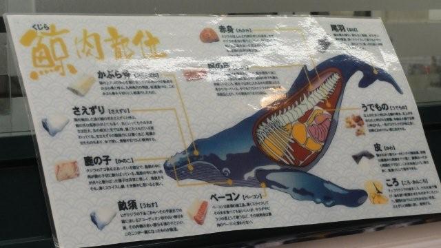 Whale sashimi_c0157558_21143296.jpg