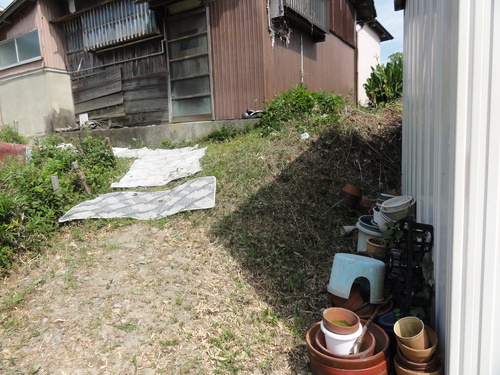 c0108460_154971.jpg