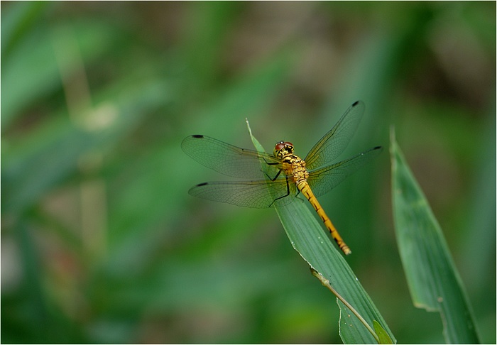 f0088971_2155659.jpg