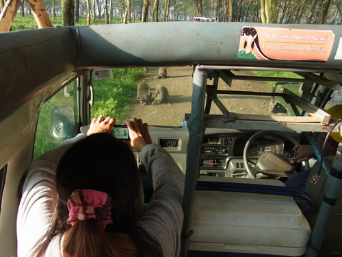 ナクル湖safari_c0204073_18293013.jpg