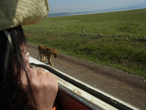 ナクル湖safari_c0204073_19264628.jpg