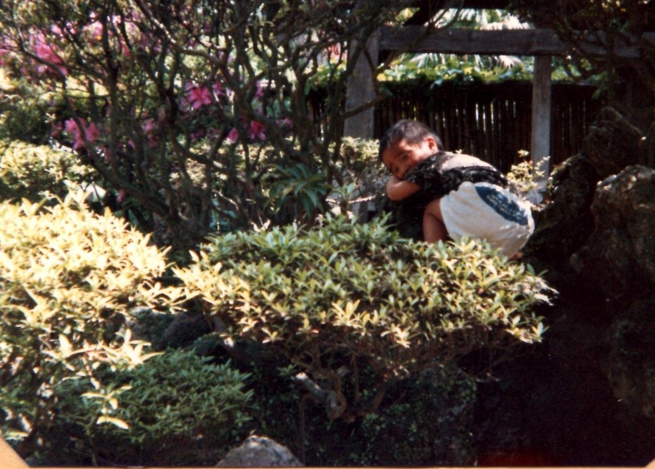 裏庭の思いで_d0230676_10182875.jpg