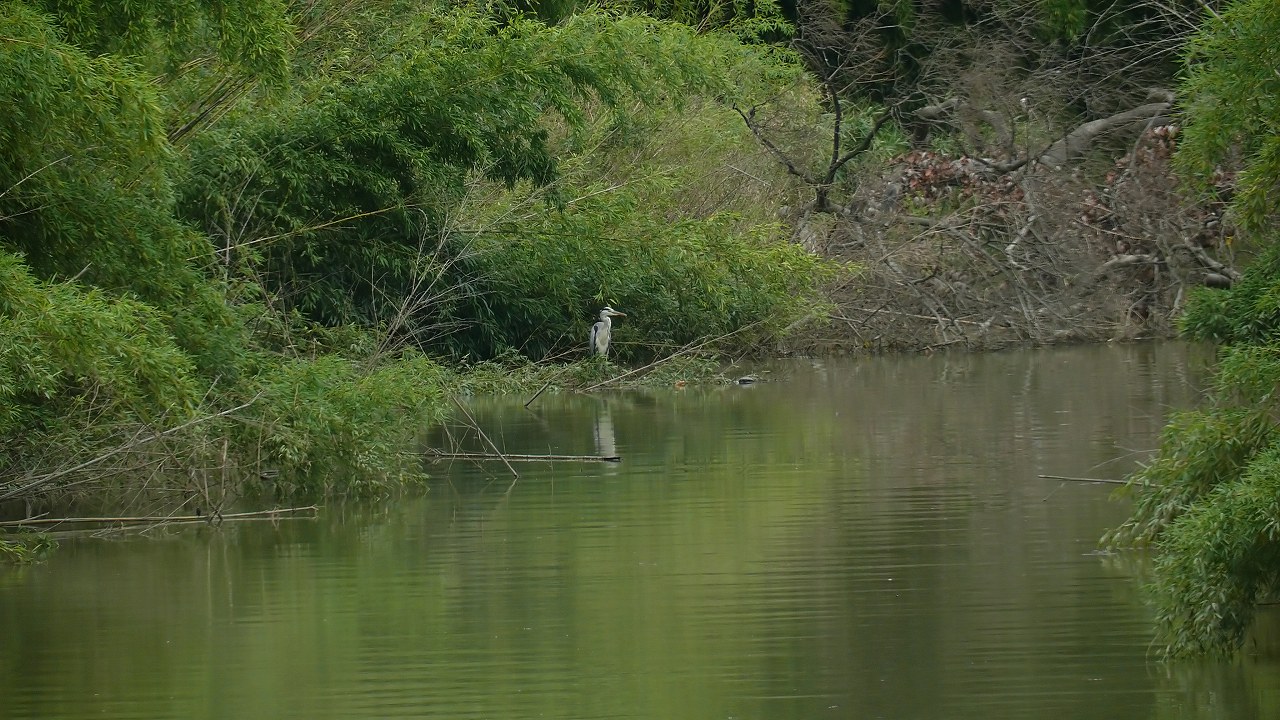 a0185081_15244598.jpg