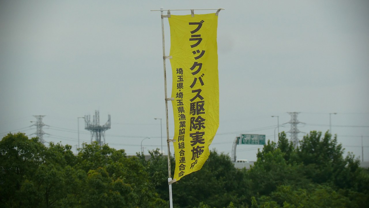 a0185081_15252317.jpg