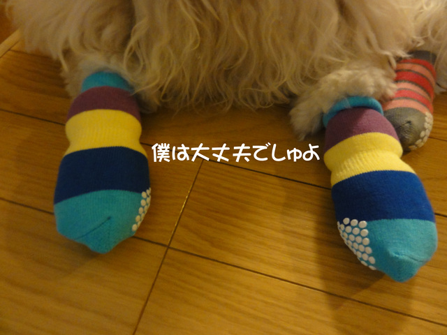 f0218182_20214565.jpg