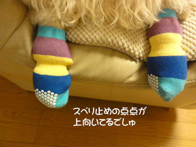 f0218182_20251689.jpg
