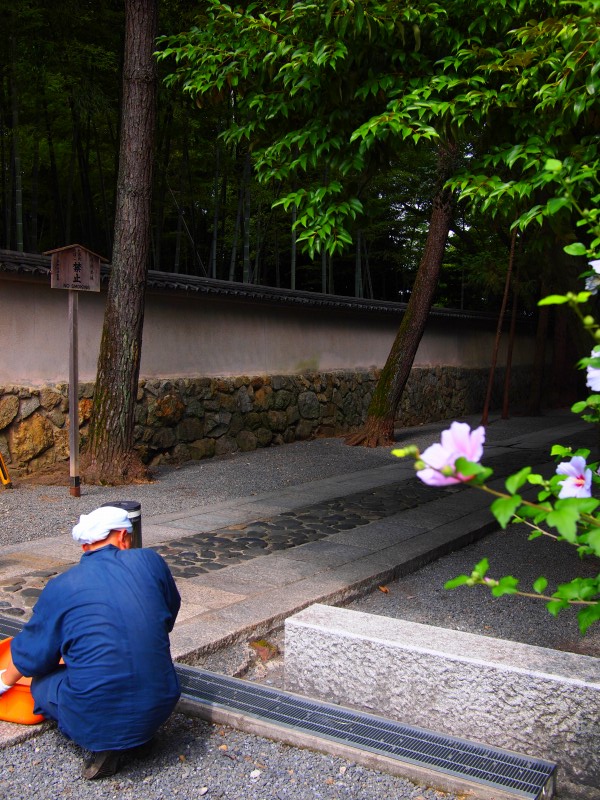 社寺仏閣は　時代を超越してきた異空間_c0153888_13362968.jpg