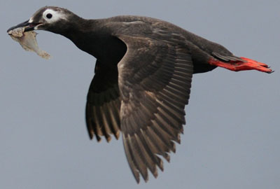 f0159390_1424309.jpg