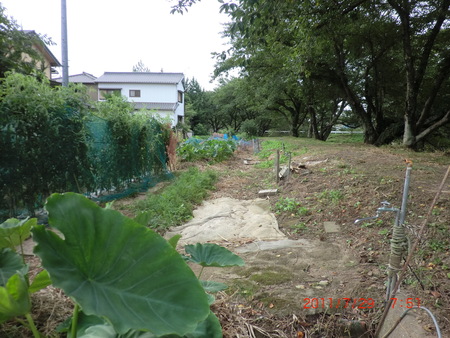 高校野球愛知大会TV見ながら画像加工練習_b0205192_13313789.jpg