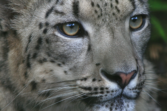 夜の動物園_b0016600_21201146.jpg