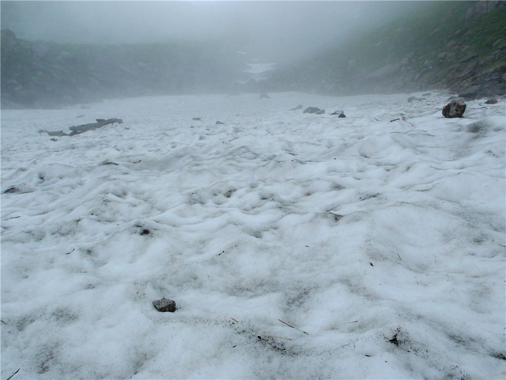 鳥海山は霧の中_f0224100_11353770.jpg